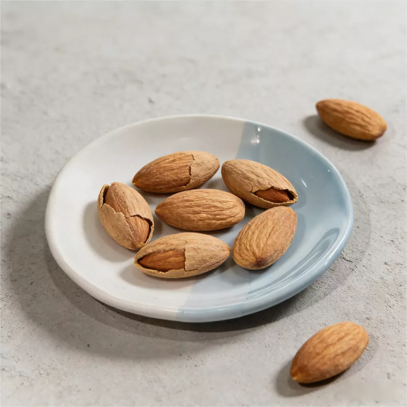 Modern Two Tone Ceramic Round Plate